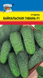 Огурец Байкальская гавань F1 УУ