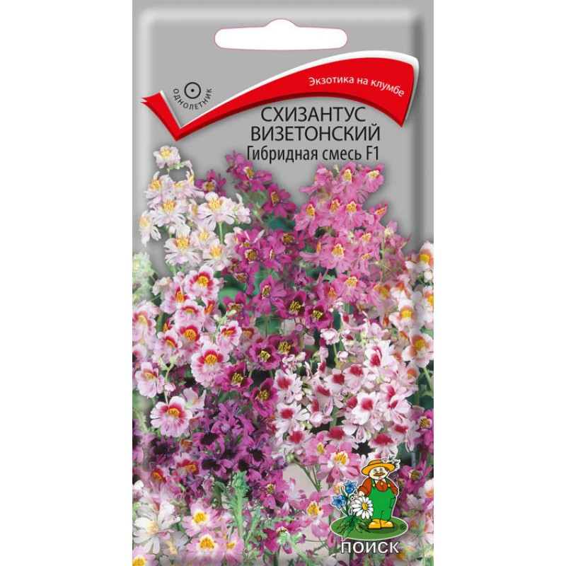 Схизантус визетонский, гибрид.смесь 0,06г "Поиск"