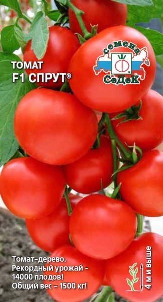 Томат Спрут F1, 0,03г "Седек"
