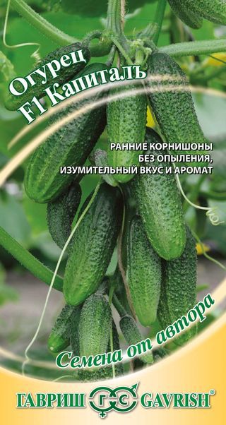 Огурец Капитал F1 автор. 10шт