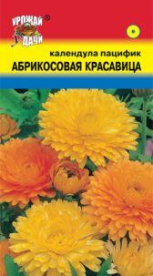 Календула Красавица Абрикосовая  УУ