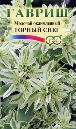 Молочай окаймленный Горный снег 0.5г